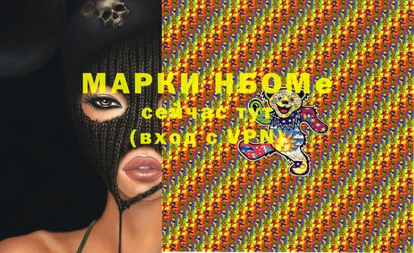 шишки Богородицк